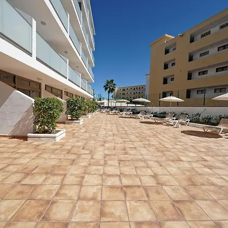 Strelitzias Playa del Inglés